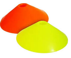 CONO TORTUGA FLUOR