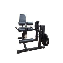 Sillon de cuadriceps e isquiotibiales a discos profesional -modelo 1